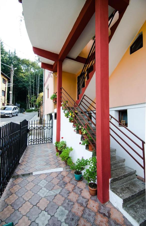 Hotel Casa Olanesti à Băile Olăneşti Extérieur photo